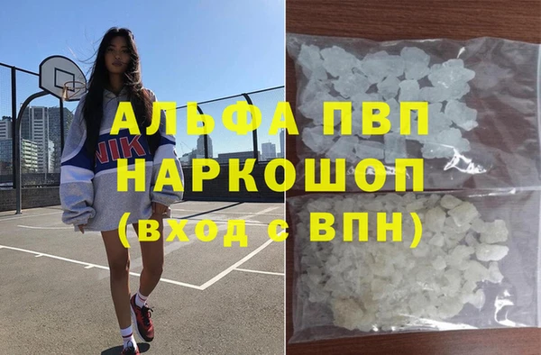 сатива Грязовец