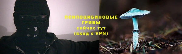 соль курить ск Володарск