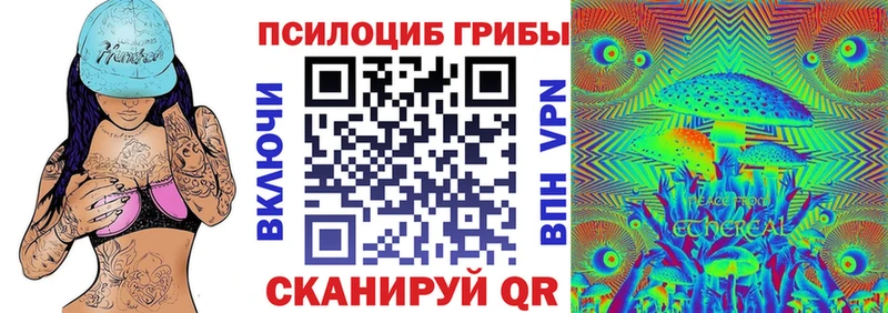 дарнет шоп  Пушкино  Псилоцибиновые грибы мухоморы 